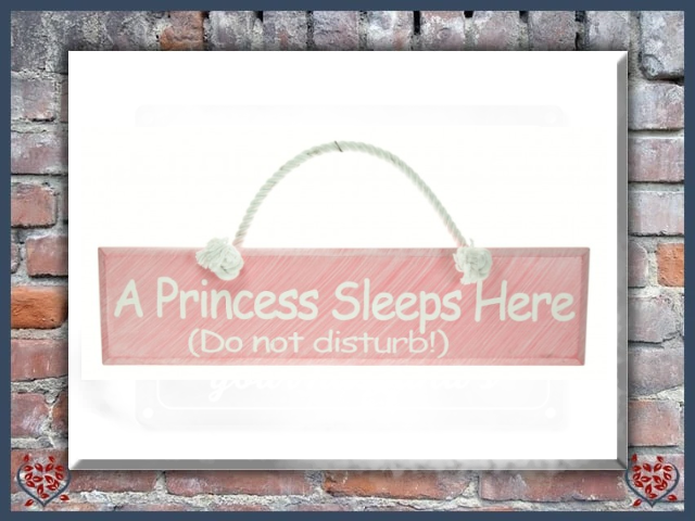 "A PRINCESS SLEEPS HERE ~ WOODEN SIGN |  Wall Decor