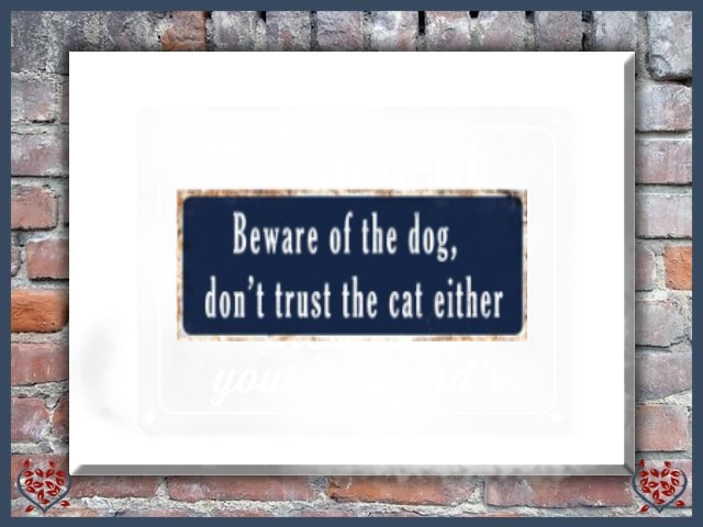 BEWARE OF THE DOG, DON'T TRUST THE CAT EITHER ~ METAL SIGN |  Wall Decor