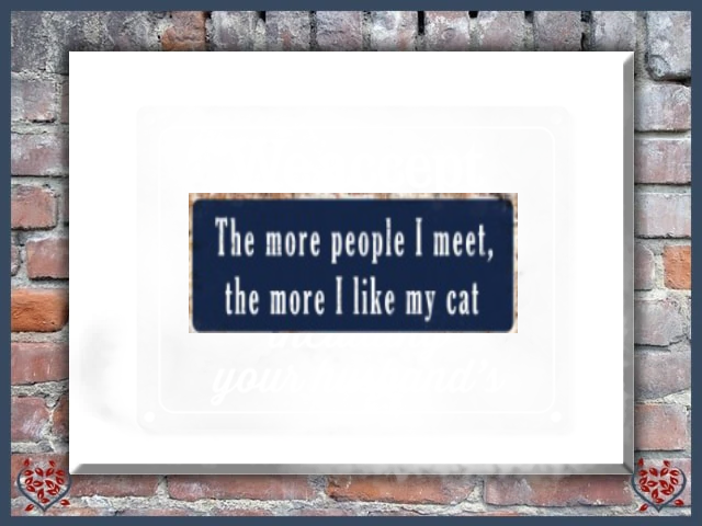 THE MORE PEOPLE I MEET, THE MORE I LIKE MY CAR ~ METAL SIGN |  Wall Decor