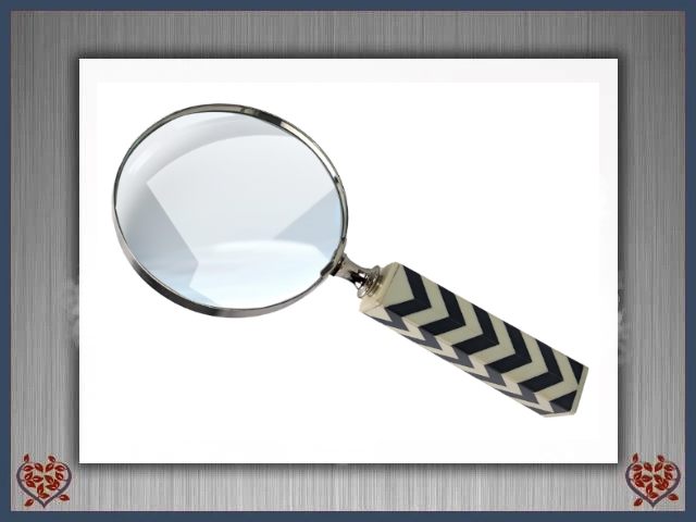 ZEBRA MAGNIFYING GLASS | Men's Gifts