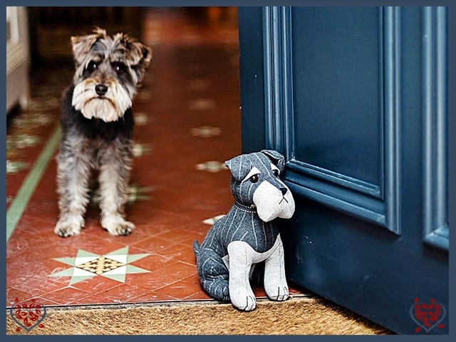 CHESTER SCHNAUZER DOORSTOP | Doorstops & Draught Excluders